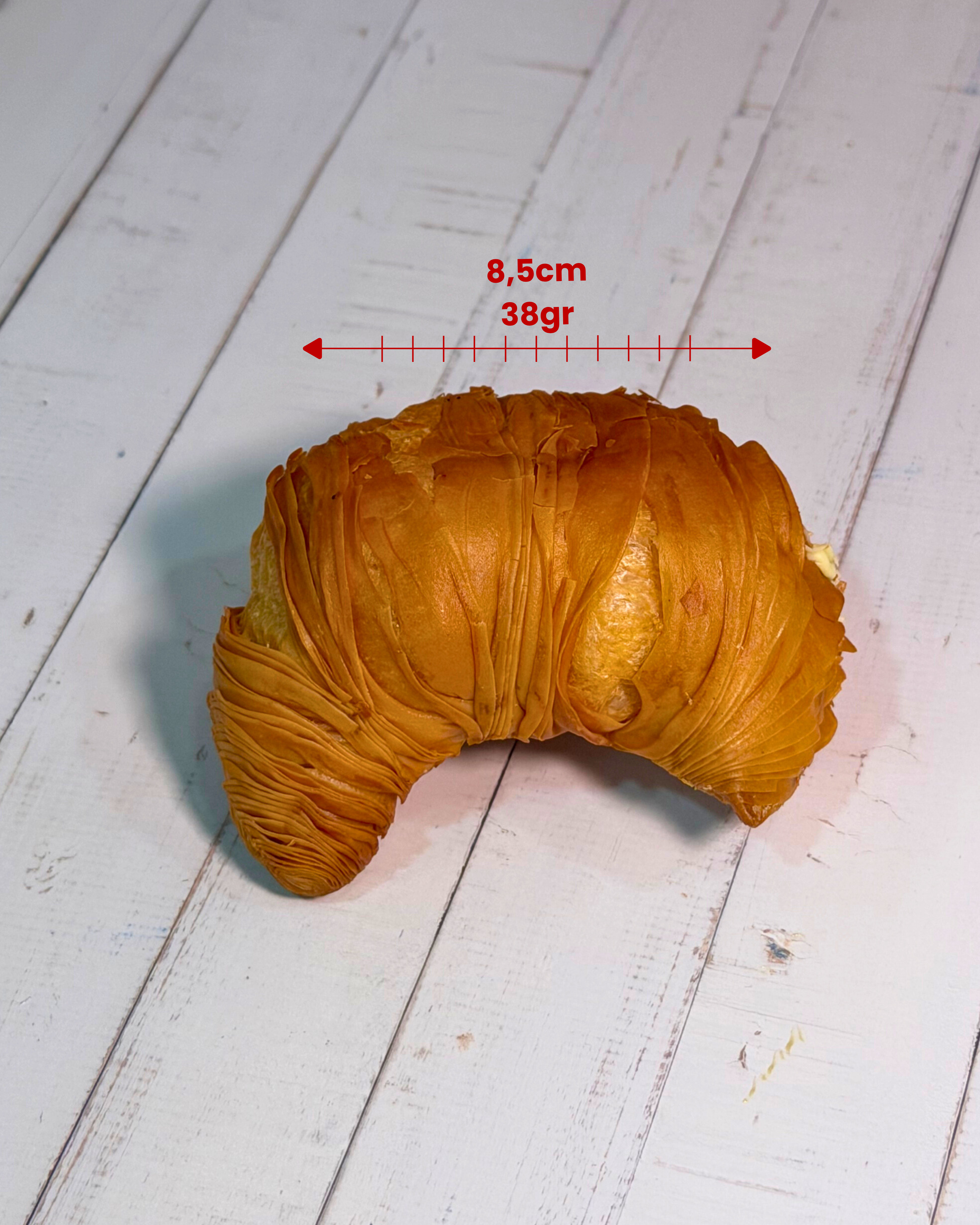 Golden Sfogliatella de Limón pastry by Medri, with crispy layers and lemon filling, showcasing a delicious Italian dessert.