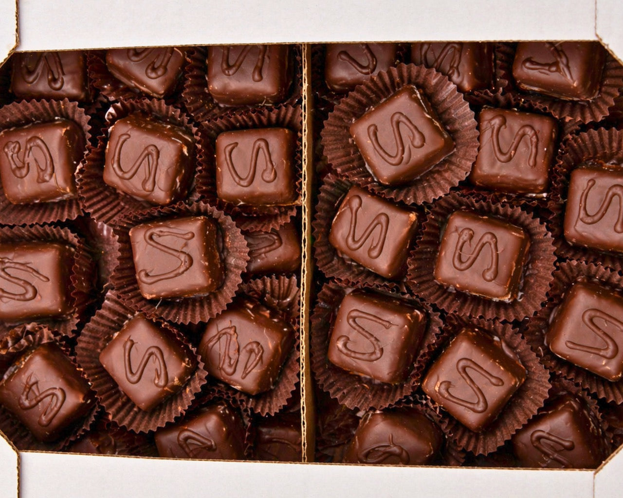 Mini chocolate Saker from Medri Tiramisu Cafe, featuring a rich chocolate coating and delicate presentation on a white plate.