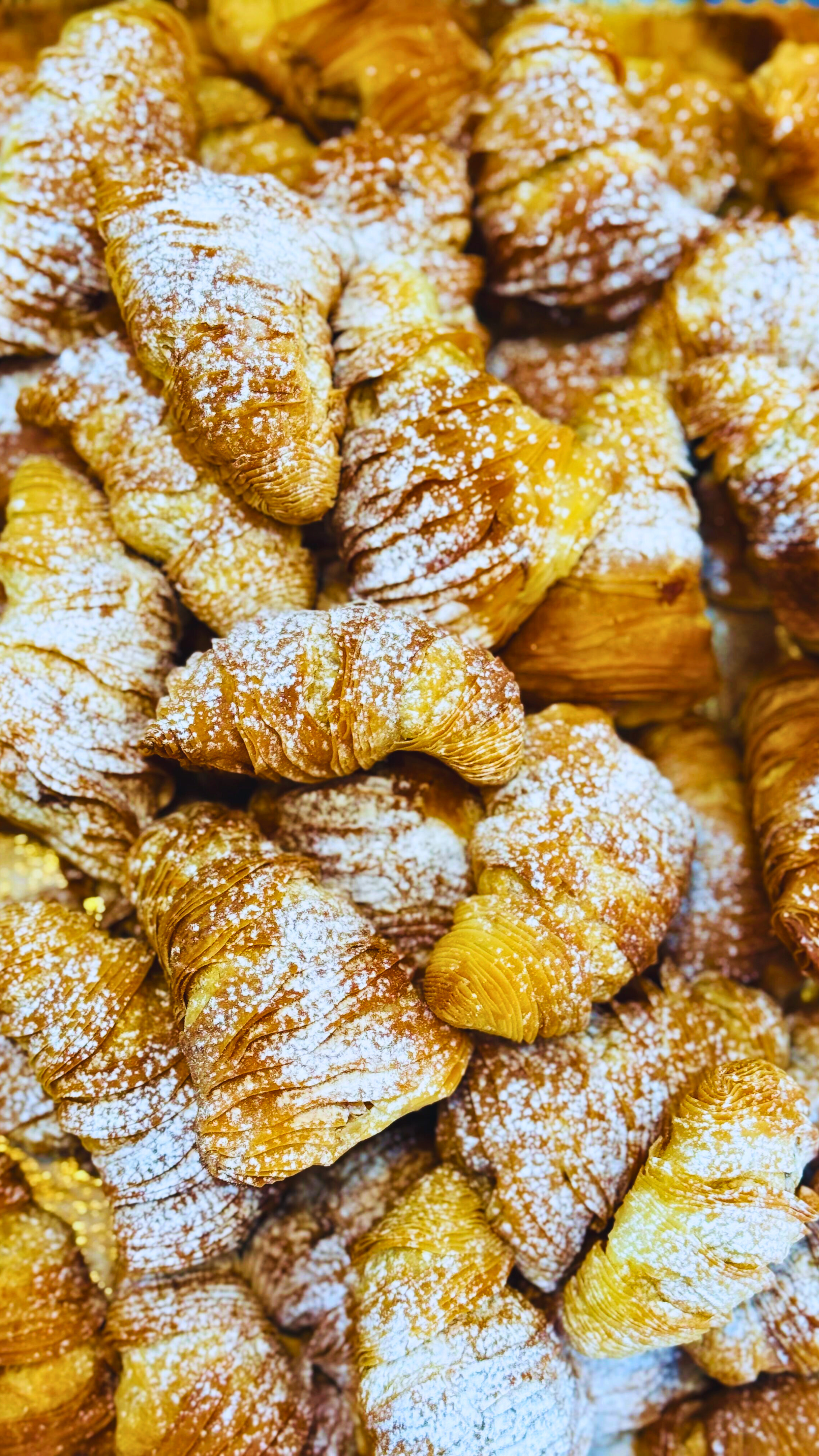 Sfogliatella - Medri